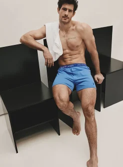 Blue-hued boxer