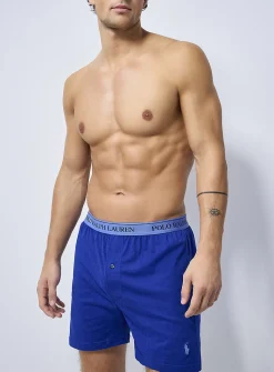 Blue-hued boxer