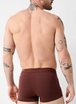 3" comfort brown trunk