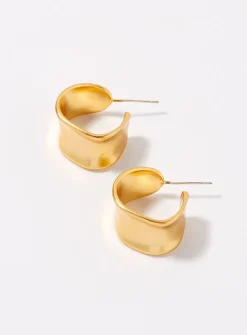 Large sinuous hoops