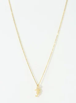 Little seahorse chain
