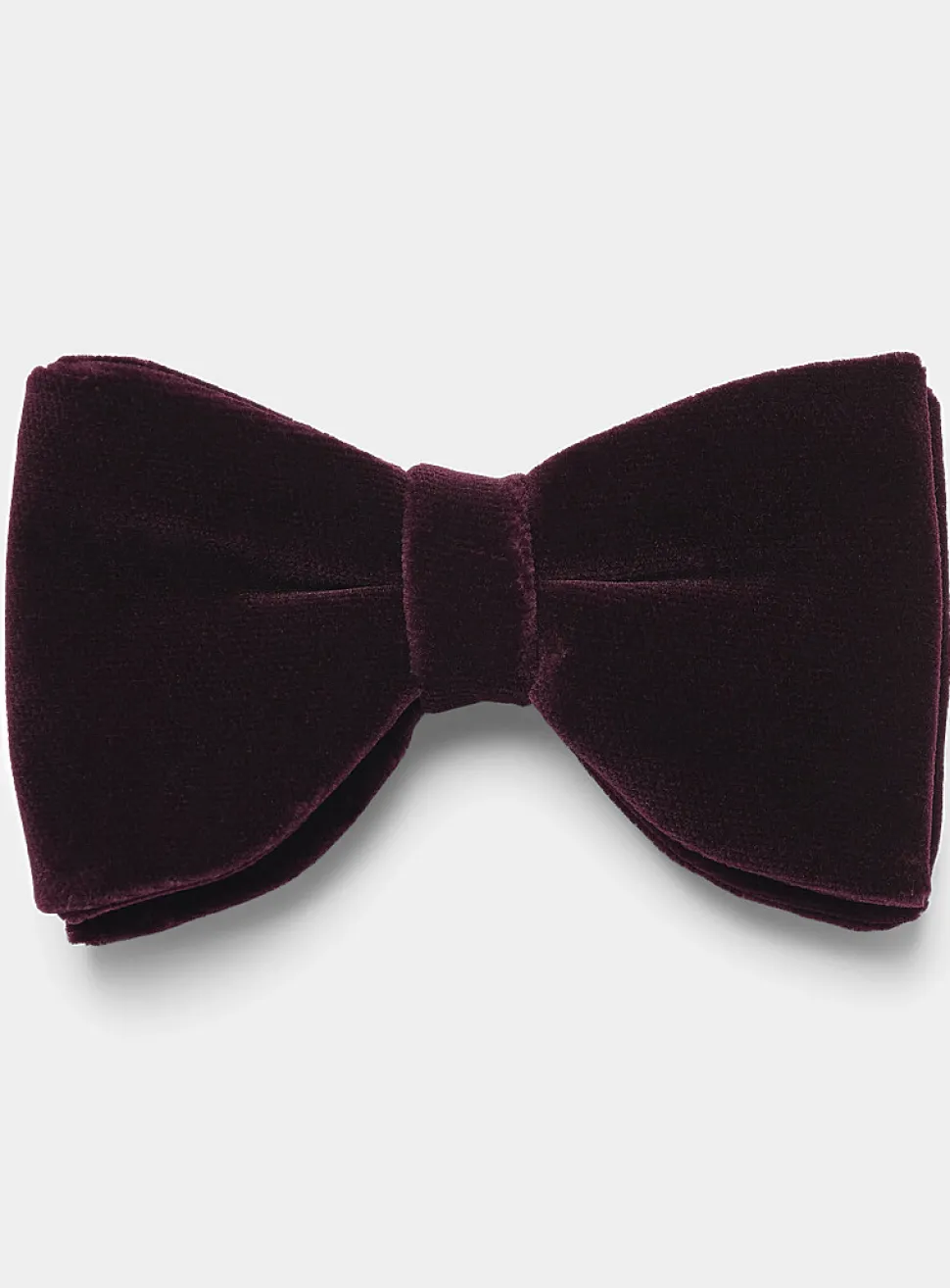 Oversized rich velvet bow tie
