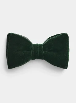 Pontoglio velvet bow tie