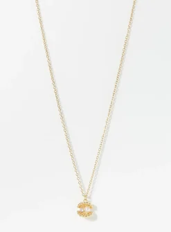 Precious seashell chain