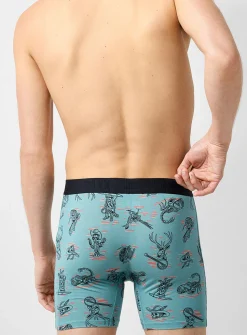 6" Western boxer brief